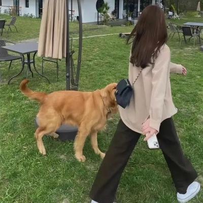 没事偷着乐